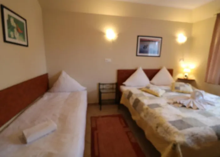 Sorento בית אירוח *